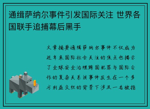 通缉萨纳尔事件引发国际关注 世界各国联手追捕幕后黑手